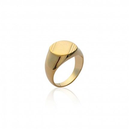 Gold Plated Signet Ring for men with short stripes