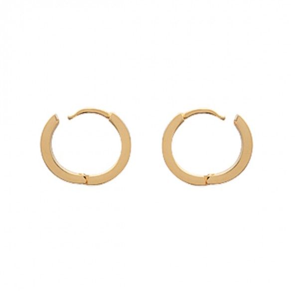 Gold Plated Hoops 16mm/4mm.