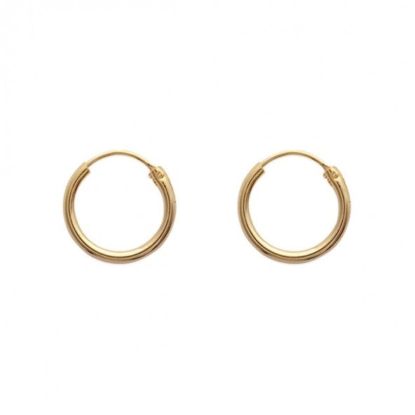 Gold Plated Hoops 16mm/2mm.