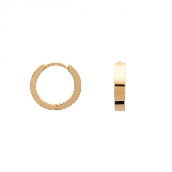 Gold Plated Hoops 16mm/4mm.