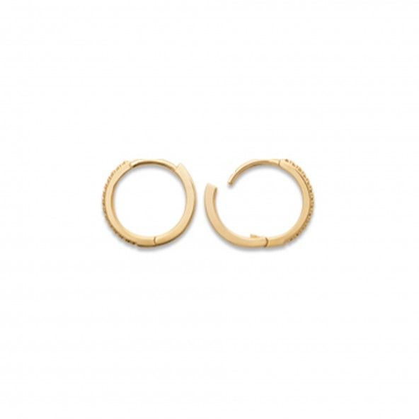 Gold Plated hoop Earrings