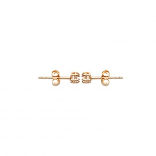 Gold Plated  Earrings